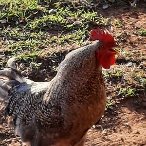 Price drops notification be on lookout